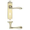 Zoo Hardware Project Arundel lever on lock backplate - 175mm x 42mm - Electro Brass