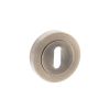 Old English Key Escutcheons - Antique Brass (Pair)