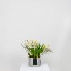 Polished Marine SS (316) 12.5cm Hepworth Pot
