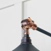 Smooth Copper Flora Wall Light in Dusk