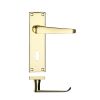 Zoo Hardware Project Victorian flat lever on lock backplate 150 x 40mm - Electro Brass