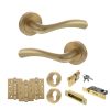 STATUS Texas Door Handle Pack (Euro Lock Set - 3" CE Sashlock, 4" Fire Rated Hinges x3) - Satin Brass