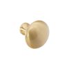 Mushroom 32mm Cupboard Knob Satin Brass