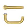 Zoo Hardware Maggiore Lever on 32mm Round Mini Rose - PVD Satin Brass