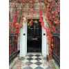 Polished Brass Loop Door Knocker