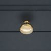 Mushroom 32mm Cupboard Knob Polilshed Brass Unlacquered