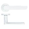 Zoo Hardware Valencia lever on rose - Polished Chrome