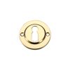 Zoo Hardware Standard Profile Escutcheon - Brass