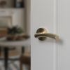 STATUS Texas Lever Door Handle on Round Rose - Satin Brass (Pair)