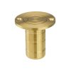Zoo Hardware Dust Socket for Flush Bolts - Wood 20mm dia. x 38mm - PVD Satin Brass