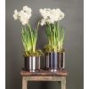 Polished Marine SS (316) 16cm Newlyn Pot