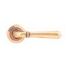 Polished Bronze Newbury Lever on Rose Set (Plain) - Unsprung