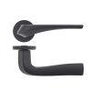 Zoo Hardware Aries lever on round rose - Black