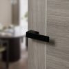 Tupai Rapido RetaLine Panela Lever Door Handle on Long Rose - Pearl Black (Pair)
