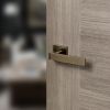 STATUS Montana Door Handle Pack (Latch Set - 2.5" CE Latch, 3" Fire Rated Hinges x3) - Antique Brass