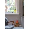 Antique Pewter Sash Lift