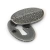 Pewter Oval Escutcheon & Cover