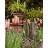 Polished Marine SS (316) 30cm Flora Pot (Drainage holes)