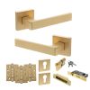 STATUS Montana Door Handle Pack (Euro Lock Set - 3" CE Sashlock, 4" Fire Rated Hinges x3) - Satin Brass