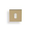 Valli Lock Profile Push-on Square Rosette Escutcheon - Polished Brass PVD