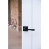 Black Avon Round Lever on Rose Set (Square)