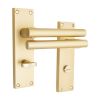 Jura Lever on Backplate Bathroom Satin Brass