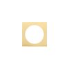 Zoo Hardware Spare square rose (turn & release) - Favo Satin Brass