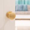 Millhouse Brass Edison Solid Brass Domed Mortice Knob on Concealed Fix Rose - Satin Brass