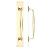 Zoo Hardware Pull Handle on Backplate - Brass