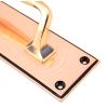 Polished Bronze 300mm Art Deco Pull Handle on Backplate