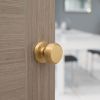 Millhouse Brass Boulton Brass Stepped Mortice Knob on Concealed Fix Rose - Satin Brass