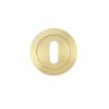 Zoo Hardware Escutcheon standard profile - Satin Brass