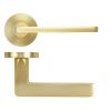 Zoo Hardware Leon lever on rose - Satin Brass
