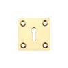 Zoo Hardware Square Standard Profile Escutcheon 50mm - Polished Brass