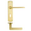 Zoo Hardware Leon lever on lock backplate - Satin Brass