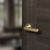 STATUS Carolina Door Handle Pack (Euro Lock Set - 2.5" CE Sashlock, 3" Fire Rated Hinges x3) - Satin Brass