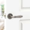 Hazel Lever Door Handle Pewter
