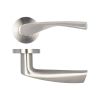 Vecta Door Handle on Rose Grade 304 Satin Stainless Steel - By Frelan Hardware - JSS501