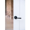 Black Avon Round Lever on Rose Set (Plain) - Unsprung