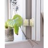 Satin SS (304) 4" x 4" x 6" Parliament Hinge (pair)