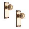 Beehive Knob on Backplate Latch Aged Brass