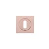 Zoo Hardware Square standard profile escutcheon - Tuscan Rose Gold