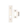 Zoo Hardware Spare Acc Pk for UK Horizontal Locks - *BLANK* - Contains Forend, Strike and Fixing Screws (Latch Version) - Nickel