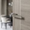 Tupai Rapido VersaLine Tobar Lever Door Handle on Long Rose - (Without Decorative Plate) - Pearl Nickel (Pair)
