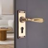 Regency Lever on Backplate Euro Aged Brass