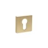 STATUS Euro Escutcheons on S4 Square Rose - Satin Brass (Pair)