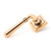 Polished Bronze Newbury Lever on Rose Set (Square) - Unsprung