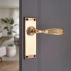 Regency Lever on Backplate Latch Aged Brass