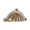 Shell Cup Pull Antique Brass
