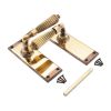 Regency Lever on Backplate Latch Aged Brass